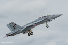 P6120168-2.jpg