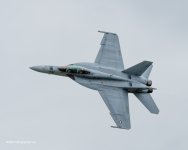 P6120362-2.jpg