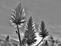 DSCN9569.jpg