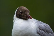 DSC_2851.jpg