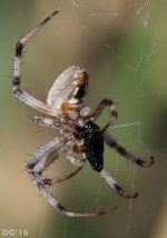 DSC_2291.jpg