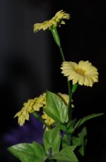 014 SilkFlowersStillLife-130114_01.JPG