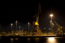 night_cranes_sm.jpg