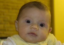 dimitra_surprised_sm.jpg