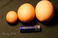 20130115-_1RB2575.jpg