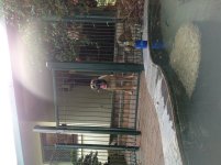ImageUploadedByTapatalk HD1358327463.762722.jpg