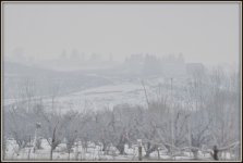 FOG 003.JPG