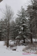 016 Frosted-130116_01.jpg