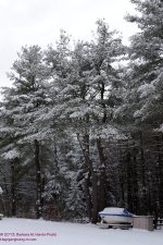 016 Waiting for Summer-130116_01.jpg