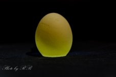 20130116-_1RB2579.jpg