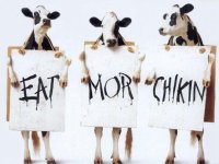 Moo.jpeg