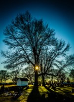 20130117-_1RB2598.jpg