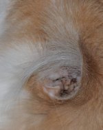 017 Creature-130117-01_01.JPG
