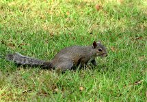 DSC_4813_2.jpg