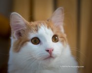 DSC_2104_5233.jpg