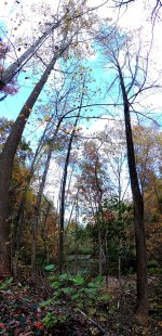 DSCN0717a.jpg