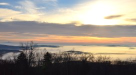 DSC_4729.JPG