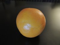 DSCN3428.JPG