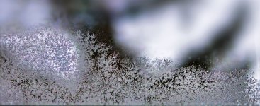 window frost.jpg