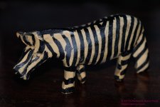 020 Zebra-130120_01.jpg