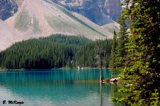 Moraine Lake.jpg