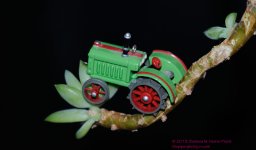 021 My Big Green Tractor-130121_01.jpg