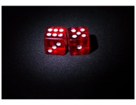 dice2-Copy2_zps813aea13.jpg