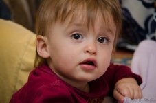 DSC_2989.jpg