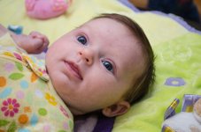 DSC_3105.jpg
