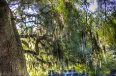 DSC_3177_8_9_tonemapped.jpg