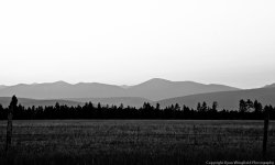 B&W Landscape 1.jpg