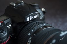 DSC_3838.jpg