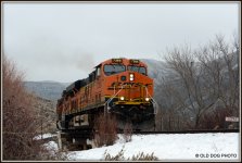 CANYON TRAIN 219.JPG