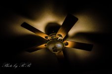 20130122-_1RB2642.jpg