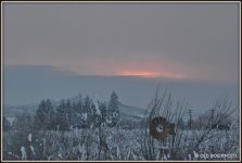 SUNRISE 008.JPG