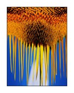 dripping sun2.jpg