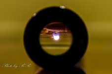 20130123-_1RB2656.jpg