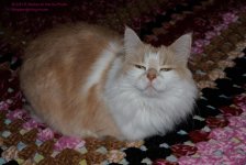 023 Creature-130123-03_01.jpg