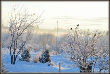 snow 014.jpg