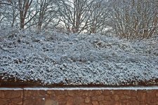 DSC_4507b.jpg