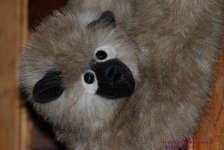 024 Monkey Face-130124_01.jpg