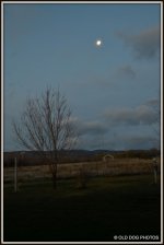 DSC_0284.jpg