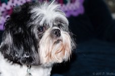 DSC_3254.jpg