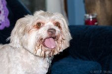 DSC_3258.jpg