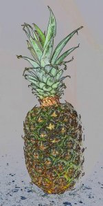 pineapple art.jpg