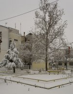 park1sm.jpg