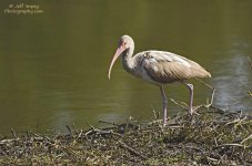 _DSC4489_2.jpg