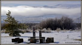 SUN SNOW FROST CHICKENS 163.jpg