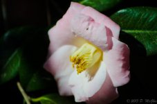 DSC_3188.jpg