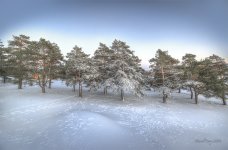 27janHDR1.jpg